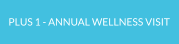 PLUS 1 - ANNUAL WELLNESS VISIT
